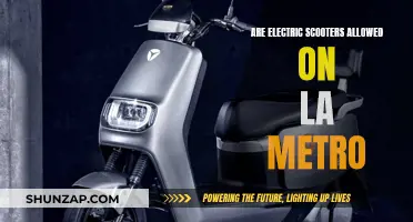Are Electric Scooters Allowed on LA Metro?