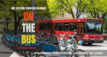 Electric Scooters: Bus-Friendly or Not?