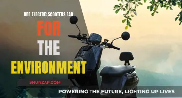 Electric Scooters: Green or Polluting Menace?