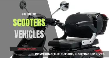 The Evolution of Electric Scooters: Are They Vehicles or Gadgets?