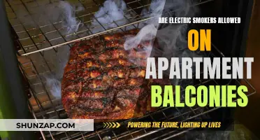 Electric Smokers on Apartment Balconies: Allowed or Not?