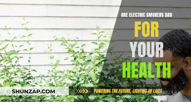 Electric Smokers: Health Hazards and Safe Smoking Methods