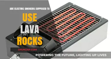 Electric Smokers and Lava Rocks: A Perfect Match or Myth?