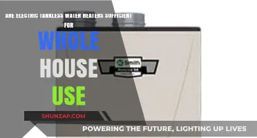 Electric Tankless Water Heaters: Can They Power Your Entire Home?