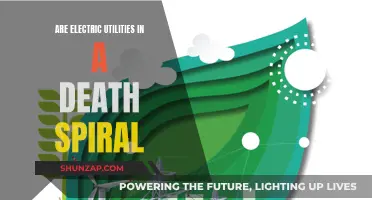 Electric Utilities: A Death Spiral or Evolution?