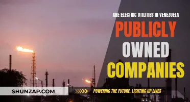 Venezuela's Electric Utilities: Public or Private Ownership?