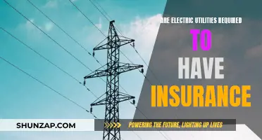 Electric Utilities and Insurance: What's the Requirement?