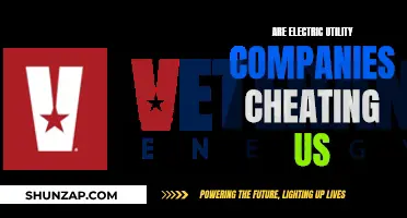 Electric Utility Companies: Cheating Us or Not?