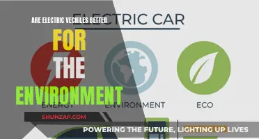 Electric Vehicles: Greener Option or Environmental Disaster?