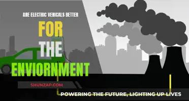 Electric Vehicles: Greener Option or Environmental Disaster?