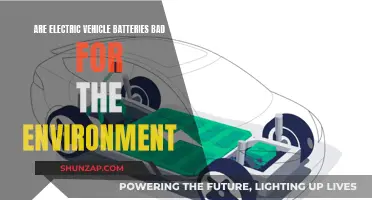 Electric Vehicle Batteries: Green or Greenwashing?