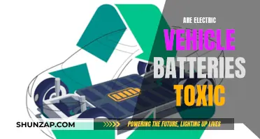 Unveiling the Toxic Truth: Electric Vehicle Batteries