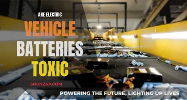 Electric Vehicle Batteries: Toxic Threat or Green Dream?