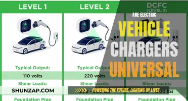 Electric Vehicle Chargers: Universal Compatibility or Unique Connectors?