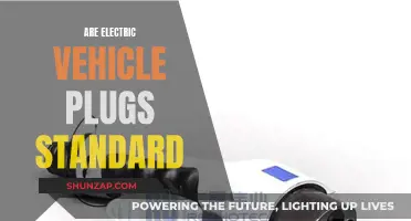 Electric Vehicle Plug Standardization: Is It Universal?