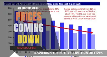 Electric Vehicle Prices: The Future is Affordable