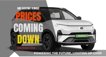 Electric Vehicle Affordability: A Future Reality?