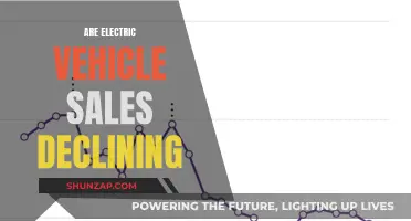 Electric Vehicle Sales: Are We Seeing a Decline?