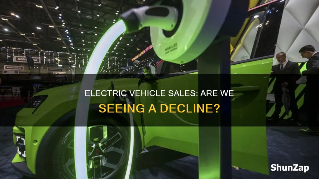 are electric vehicle sales declining