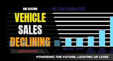 Electric Vehicle Sales: A Declining Trend?