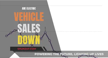 Electric Vehicle Sales: A Surprising Trend Unveiled