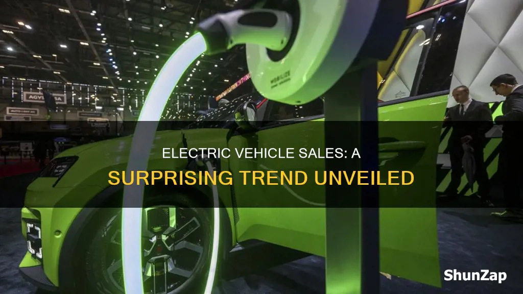 are electric vehicle sales down