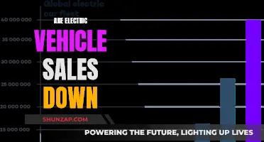 Electric Vehicle Sales: A Downward Trend?