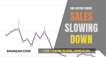 Electric Vehicle Sales: Are We Reaching a Plateau?