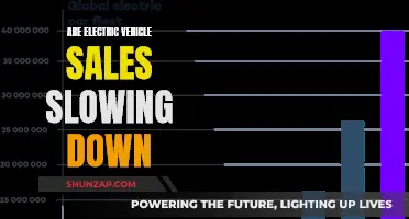 Electric Vehicle Sales: A Slowdown or Temporary Pause?