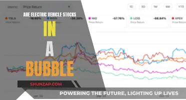 Electric Vehicle Stocks: Bubble or Sustainable Growth?