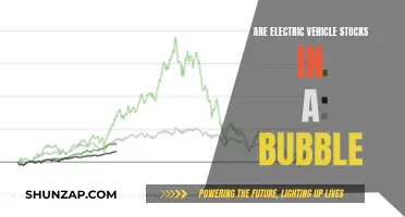 Electric Vehicle Stocks: Bubble or Boom?
