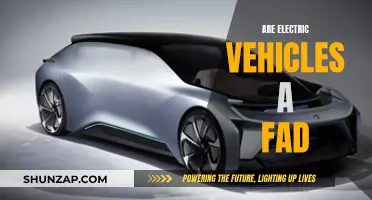 Electric Vehicles: Fad or Future of Transportation?