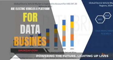 Unveiling the Data-Driven Future: Electric Vehicles as a Platform for Digital Innovation