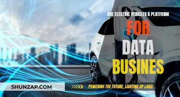 Electric Vehicles: Data Business Opportunities and Challenges