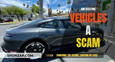 Electric Vehicles: Scam or the Future?