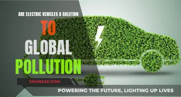 Electric Vehicles: Green Revolution or Just a Buzz?