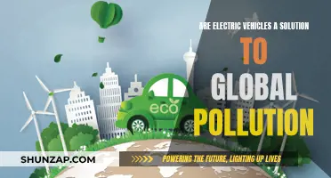 Electric Vehicles: Pollution Solution or Complex Problem?
