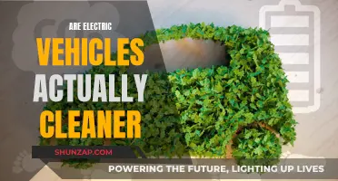 Electric Vehicles: Cleaner, But Not Perfect