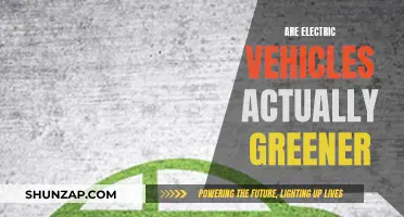 Electric Vehicles: Green Revolution or Just a Buzz?