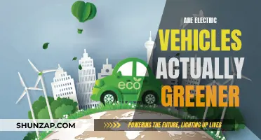 Electric Vehicles: Greener or Greenwashing?