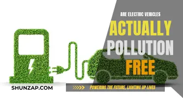 The Green Myth: Unveiling Electric Vehicles' True Environmental Impact