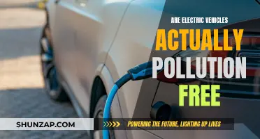 Electric Vehicles: Pollution-Free or Not?