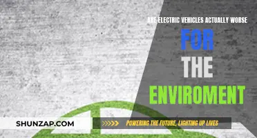 Unveiling the Green Myth: Are Electric Vehicles Eco-Friendly?