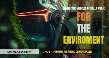 Electric Vehicles: Environmental Friend or Foe?
