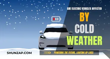 Cold Weather's Impact on Electric Vehicle Performance: A Comprehensive Guide