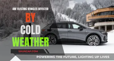 Cold Weather's Impact on Electric Vehicles Performance and Efficiency