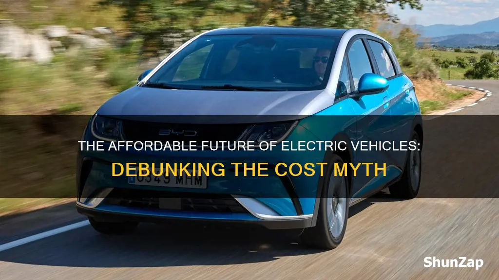 are electric vehicles affordable