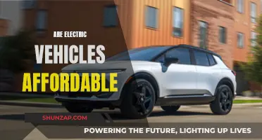 Electric Vehicles: Affordable or Expensive?