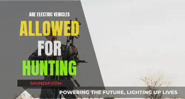 Electric Vehicles: Rules for Hunting Adventures