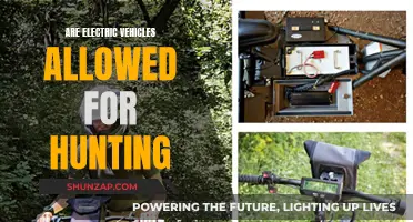 Electric Vehicles for Hunting: Are They Allowed?